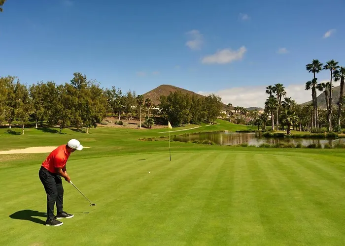 Apartament Luxury Borinquen With Parking And Swimming Pool Playa de las Americas (Tenerife)